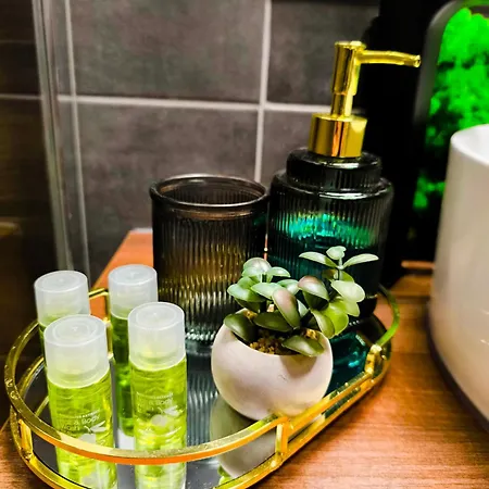 Apartment Zen