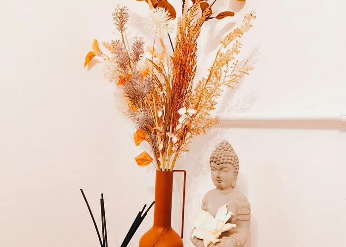 Zen * Debrecen